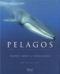 Pelagos : Voyage naturaliste au large de la MÃ©diterranÃ©e