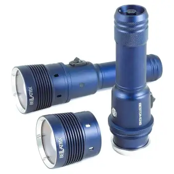 Best Divers Bellatrix Infinity Torch  2900 Lumens