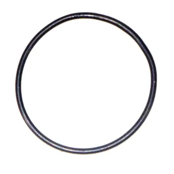 Cressi Archimede O-ring Sealing Argenté