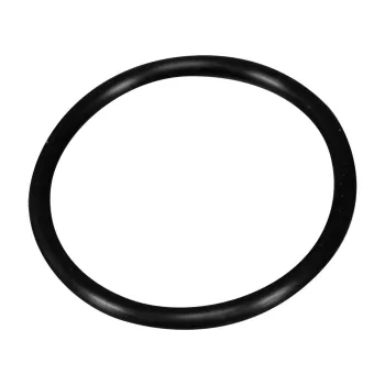 Cressi Frogman Head O-ring Argenté