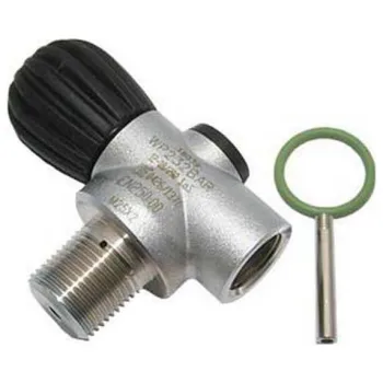 Dirzone Rebreather Valve Gris