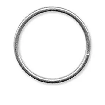 Dive Rite Steel Inox 5 Cm Rounded D-ring 10 Units  5 cm