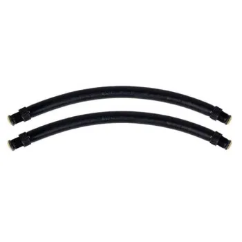 Spetton Standard 16 Mm Bands Noir 14 cm