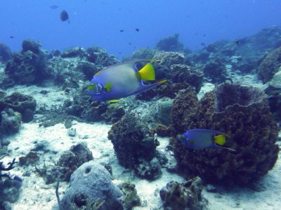 P1030721r_1.jpg
