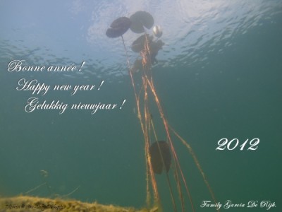 nieuwjaarbis2012t.jpg