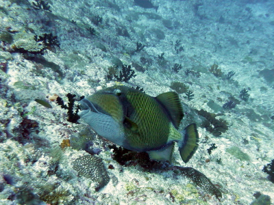 P1060870r_1.jpg