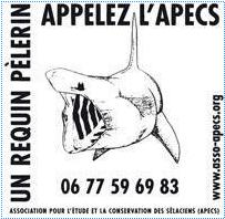 logo apecs.jpg