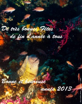 bonnes_fetes 2012-13.jpg