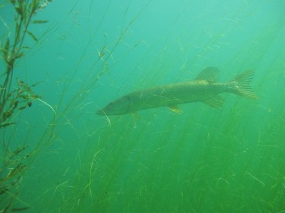 26-05-2010-0012.jpg