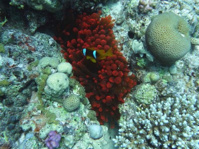 2010 06 Hurghada_00242_1.jpg