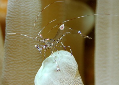 2010_07_02_3307.JPG