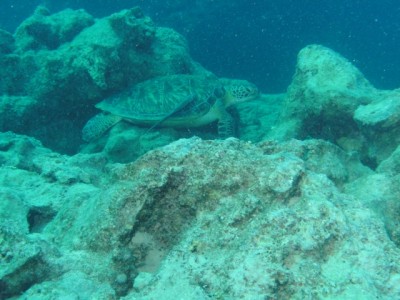 PICT0013.JPG