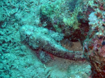 PICT0086.JPG