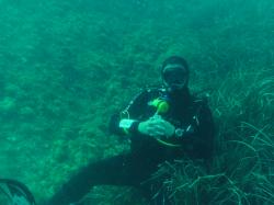Recherche binome plongée