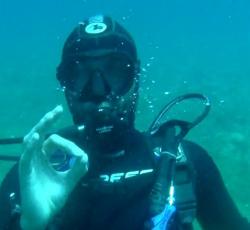 Recherche binome plongée