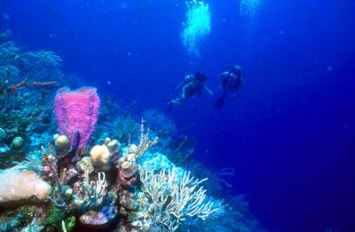 Mexique (Belize)