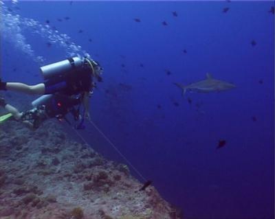 MicronÃ©sie (Palau)