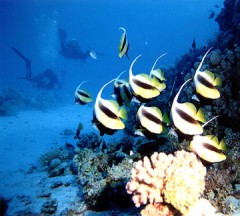 Blaise_Egypte2