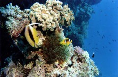 Blaise_Egypte4