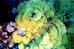 Blaise_Egypte5