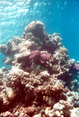 barriere24