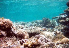 barriere5