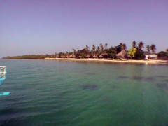 DSC00016