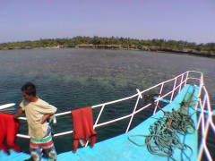DSC00019