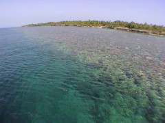 DSC00021