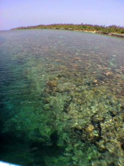 ile