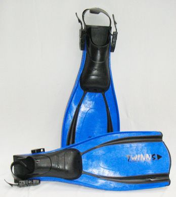 PALMES SPORASUB