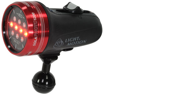 PHOTO SOUS-MARINE LIGHT & MOTION